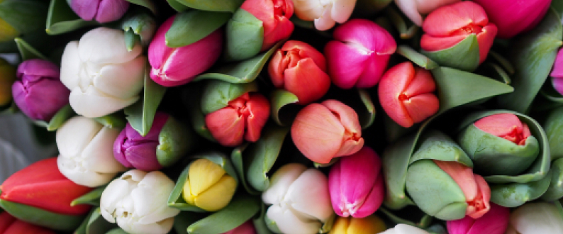 Поздравляем с Международным Женским Днём!